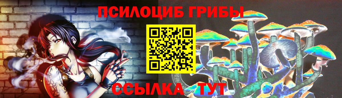 Псилоцибиновые грибы мицелий Мурманск