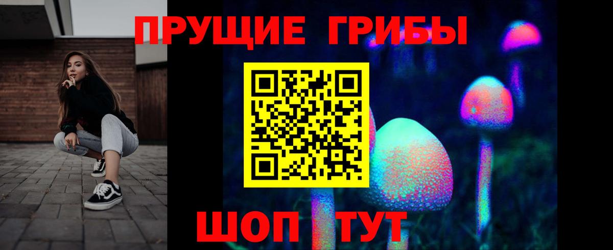 Галлюциногенные грибы Magic Shrooms  Галлюциногенные грибы GOLDEN TEACHER  Вход с VPN  Мурманск 