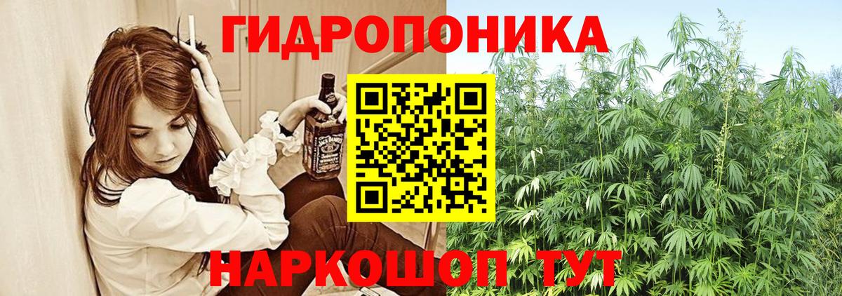 МАРИХУАНА план  Вход с VPN  Конопля марихуана  Канабис ГИДРОПОН  Мурманск  Бошки Шишки Amnesia 